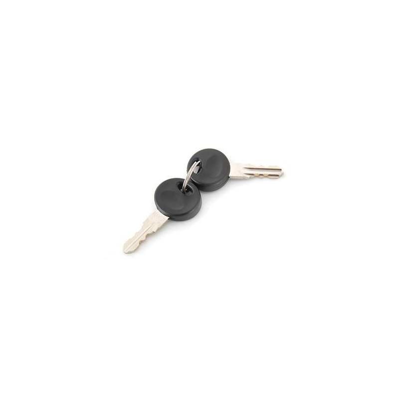 BUZZ RACK Spare 2 keys for bike rack lock K010 59135