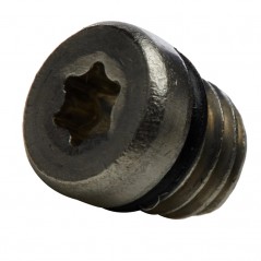 SRAM Stainless steel purge screw/o-ring kit (20U) 106121