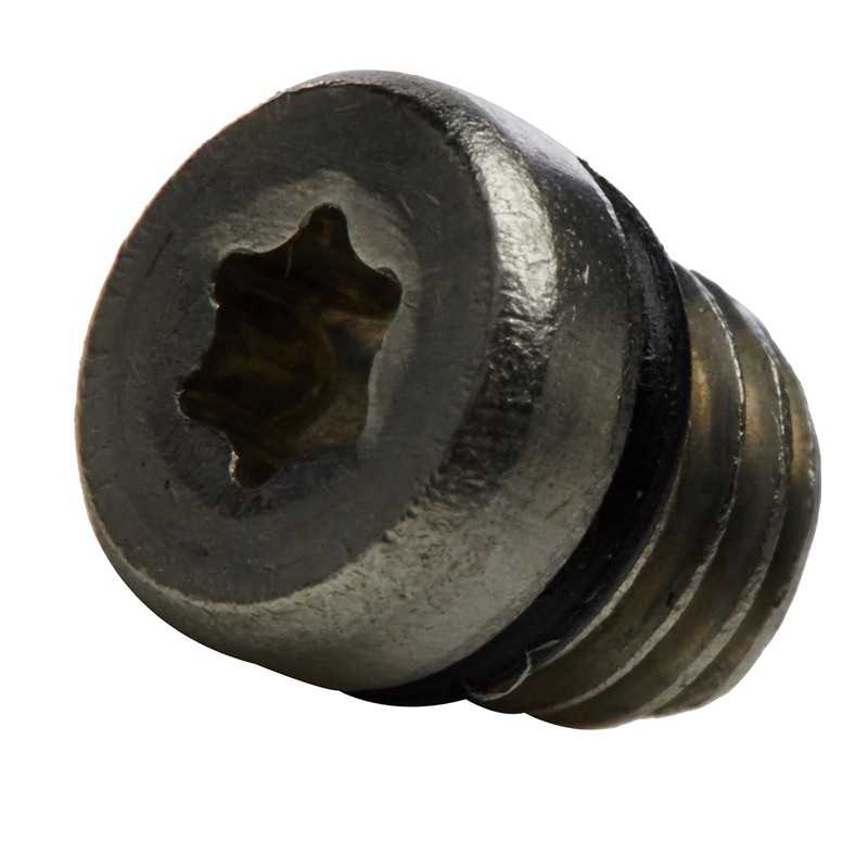 SRAM Stainless steel purge screw/o-ring kit (20U) 106121