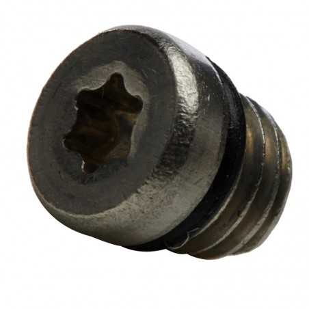 SRAM Stainless steel purge screw/o-ring kit (20U) 106121