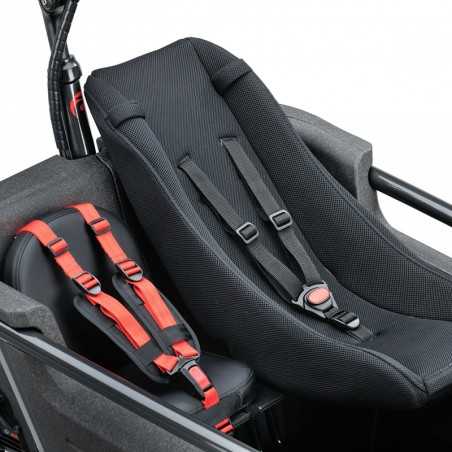 WIENER Asiento de bebe para remolque bicicleta SC2/SC3 BATAVUS FIER 2/3/ F U B 2/3/RALEIGH STRIDE2 /3 720048
