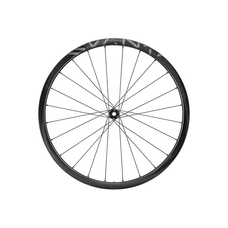 CAMPAGNOLO Complete front wheel LEVANTE 30 2WF DISK TUBELESS CARBON 721503