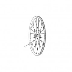 ZIPP Kit válvula universal para rueda 101 XPLR 107317