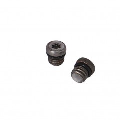 XLC Kit tornillos de purgado para freno disco 6 MM M5X0.8 SRAM/AVID BR-X127 2500378160