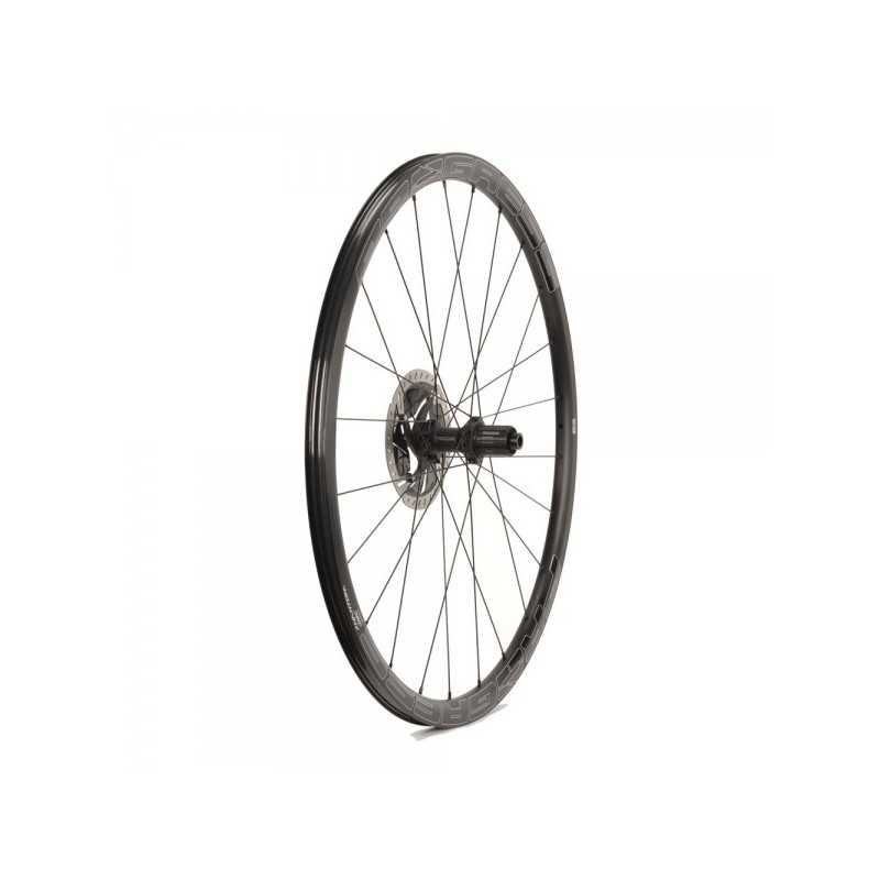PROGRESS Bicycle rear wheel PHANTOM DISC SHIMANO HG PUPHDTHGNG