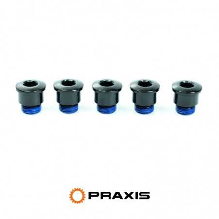 PRAXIS Set of 5 bottom bracket screws CR ALLOY ROAD 5/6 MM ALLEN 48/32 CR ALLOY ROAD 5/6 MM ALLEN 48/32 TP-4832