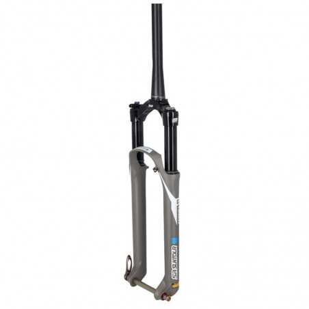 SUNTOUR Suspension fork SF20 AXON34 ELITE EQ RL-RC 29" BOOST 15x110 MM 120 A-HEAD TEAM 721204