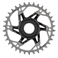 SRAM Plato bicicleta aluminio XX T-TYPE EAGLE E-MTB BOSCH GEN4 DIRECT MOUNT 1X12V 107461VAR