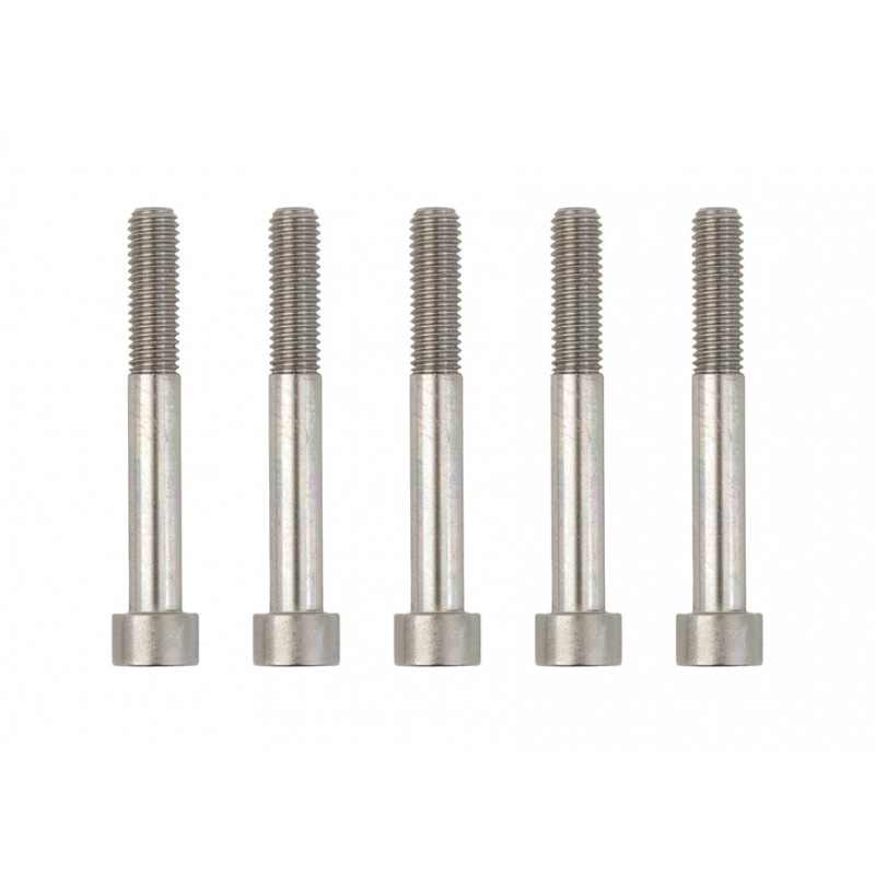 HAIBIKE Shock absorber screw E-BIKE ALLMTN M8X60 722773