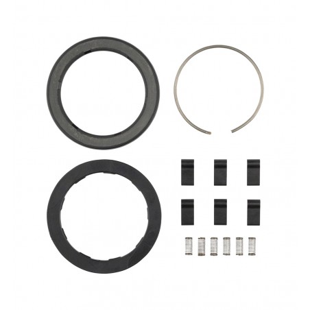 SRAM Ratchet/spring kit for hubs (6 units) ZIPP ZR1 108371