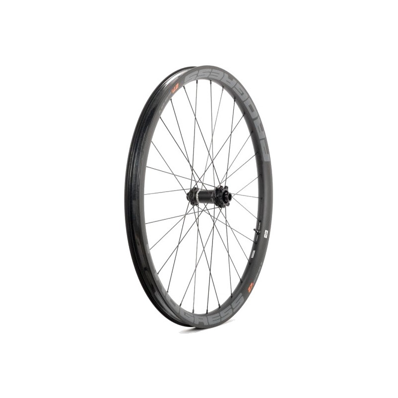 PROGRESS Bicycle front wheel EB PLUS NEXO BOOST 15X110 PUEBI27BD