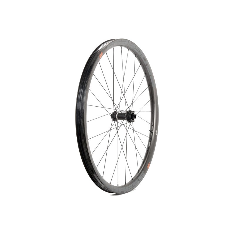 PROGRESS Bicycle front wheel EB PLUS NEXO 29" BOOST 15X110 PUEBI29BD