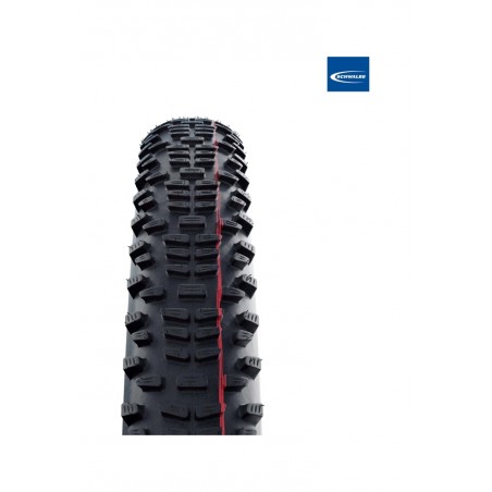 SCHWALBE Tire for bicycle RACING RALPH EVO SUPER GROUND TLE 29X2.35 B/B-SK 4026495880275