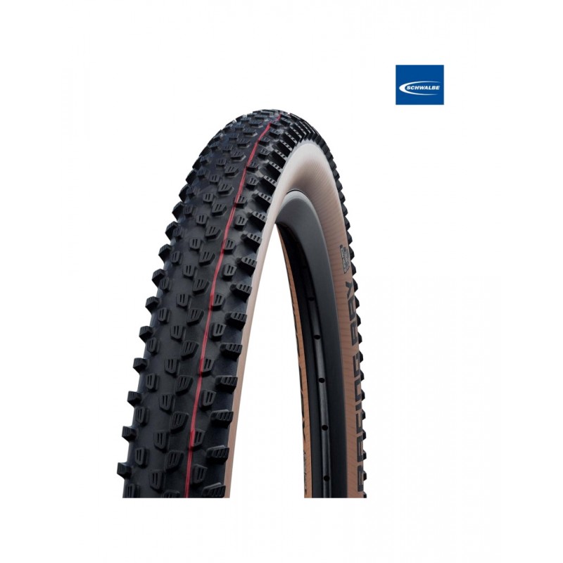 SCHWALBE Cubierta neumatico para bicicleta RACING RAY EVO SUPER RACE TLE 29X2.35 B/TS-SK TUBELESS READY 4026495880398