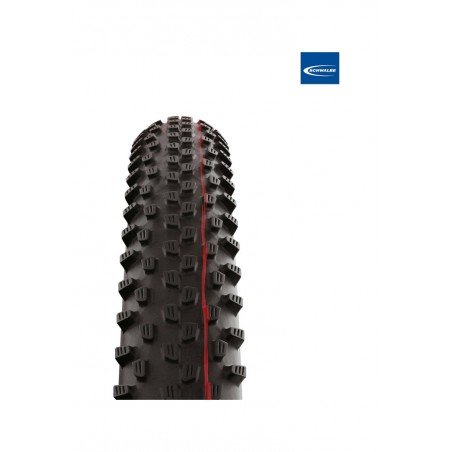 SCHWALBE Tire for bicycle RACING RAY EVO SUPER RACE TLE 29X2.35 B/TS-SK TUBELESS READY 4026495880398