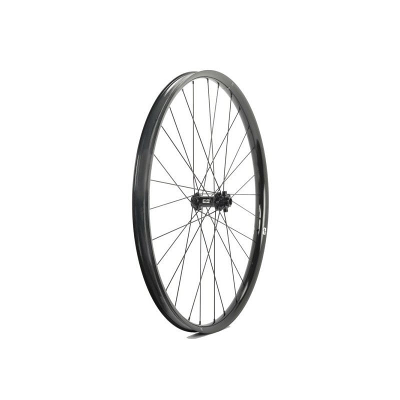 PROGRESS RUEDA DELANTERA 15X110 E:RACE PGRUER29BD
