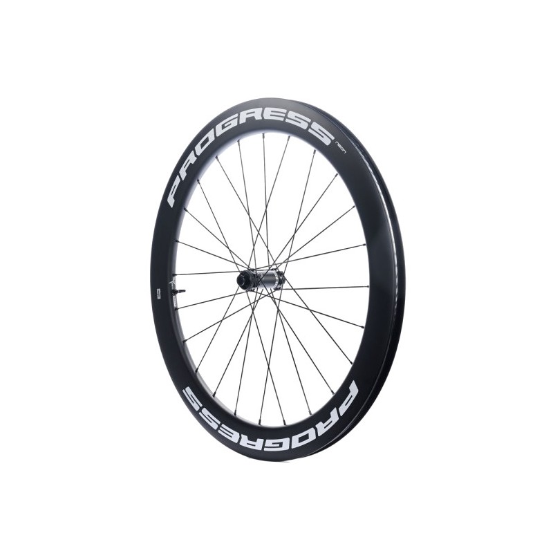 PROGRESS Front wheel disc cover NEON BL PGRUNEDCDUBL