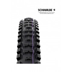 SCHWALBE Downhill bike tire cover BIG BETTY EVO SUPER ADDIX ULTRA SOFT 29X2.40 B/B-SK 4026495880633