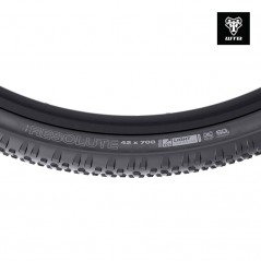 WTB Tire for bicycle RESOLUTE TCS LIGHT/FAST ROLLING 120TPI DUAL DNA SG2 700X42 714401108486