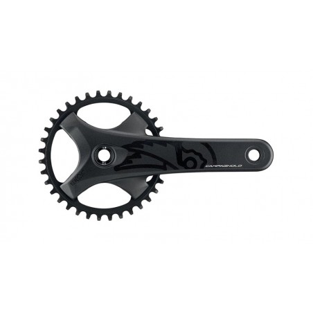 CAMPAGNOLO Semicarenado rally EKAR GT 724565VAR
