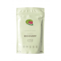 SANTA MADRE Quick recovery vanilla ice cream flavor 350G 503-01
