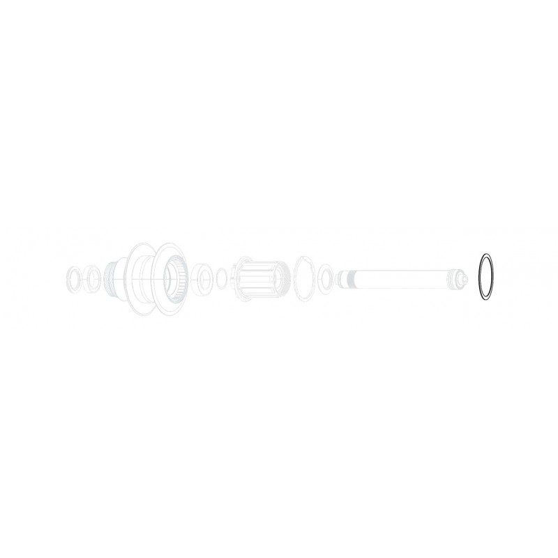 ZIPP Espaciador de repuesto para núcleo o buje 0.25 (2 UDS) 11.1915.038.000