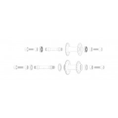 ZIPP Replacement rear hub bearings 333 PISTA 11.1918.059.001
