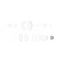 ZIPP Replacement right rear hub caps SRAM COGNITION NSW QR 11.2018.033.002