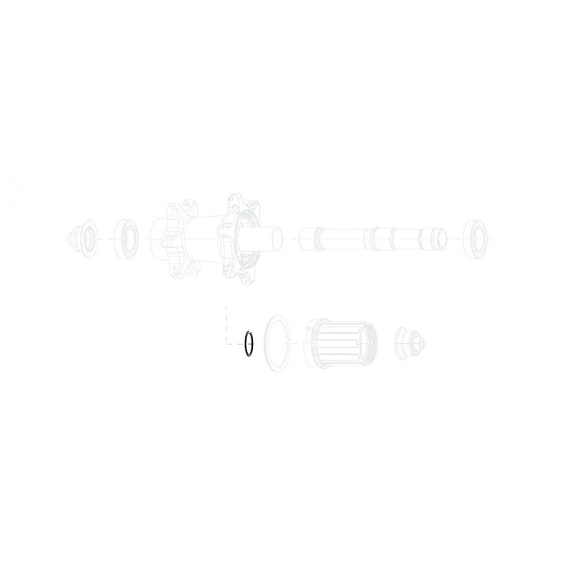 ZIPP Kit de espaciador repuesto para núcleo del buje 0.50 177 11.2018.038.000