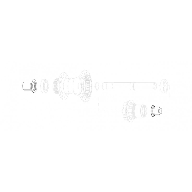 ZIPP Replacement rear hub caps QR XDR/11V PARA ZR1 11.2018.064.006