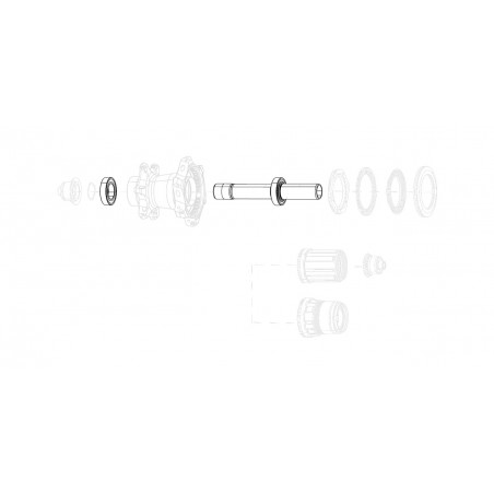 ZIPP Kit de eje trasero repuesto para llanta COGNITION V2 11.2018.065.004