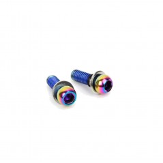 SRAM Tornillos para adaptadores de disco (2 UNDS) 00.5318.006.005