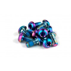 SRAM Titanium disc bolt kit 12 UDS 00.5318.027.001VAR
