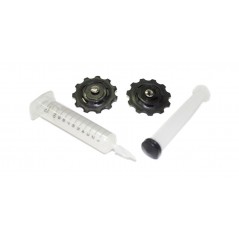 SRAM Replacement of ceramic rollers for change RED (10/11V - FORCE 11V) 00.7518.014.000