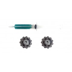 SRAM Replacement of ceramic rollers for change XX 00.7915.016.010