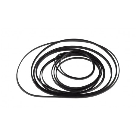 SRAM Kit de repuesto elastómeros RED AXS 10/33 CASSETTE 11.2418.007.003