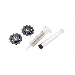 SRAM Replacement of rollers for gearbox ETAP 11.7518.066.000