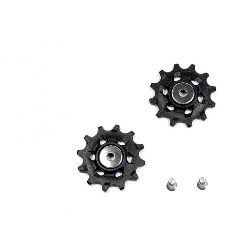 SRAM Replacement of rollers for gearbox NX/APEX1 11.7518.072.000
