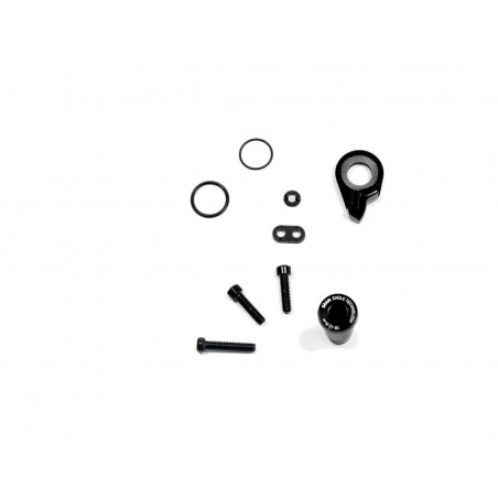 SRAM Repuesto de tornillo para cambio XX1 EAGLE/X01/X1 11.7518.076.010