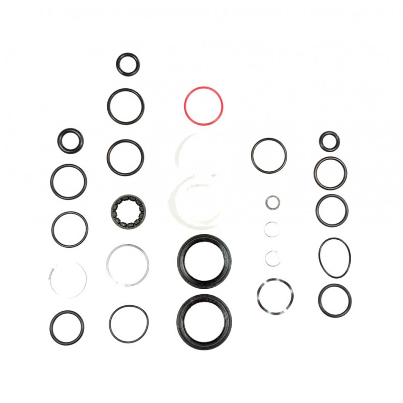 ROCK SHOX Kit de mantenimiento SILVER/GOLD 200H JUDY 00.4315.032.648