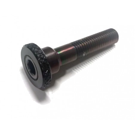 DEDA Seatpost bolt M7X30 MM TITANIO 725796