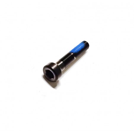 DEDA Seatpost bolt M6X28 MM TITANIO 725797
