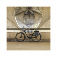 SHAD Baúl rígido tipo cesta para bicicleta con anclaje fijo 20L FIXED MOUNT OSLO GREY X0BB205FM