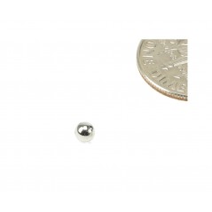 ENDURO BEARINGS Loose steel balls for BK-5057 1/8 (0.125) 5 GRADE 50UDS EB8203
