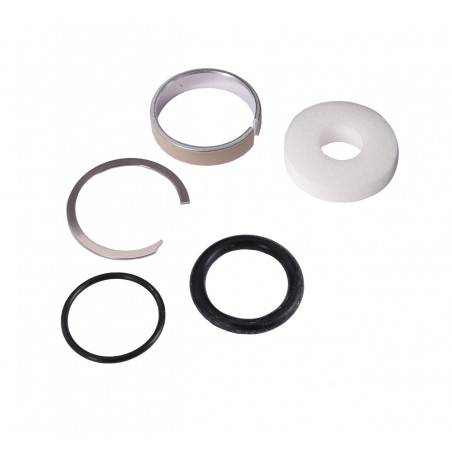 ROCK SHOX Kit para servicio de tija regulable REVERB AXS V2 200 H/1YR 11.6818.051.008