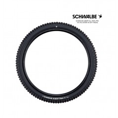 SCHWALBE Tire bicycle ALBERT EVO 29 TRAIL PRO SOFT RADIAL 29X2.50 B/B-SK 4026495945141