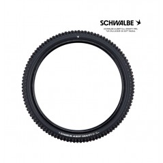 SCHWALBE Tire bicycle ALBERT EVO 29 GRAVITY PRO SOFT RADIAL 29X2.60 B/B-SK 4026495945189