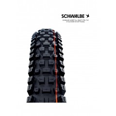 SCHWALBE Tire bicycle ALBERT EVO 27.5 GRAVITY PRO SOFT RADIAL 27.5X2.50 B/B-SK 4026495945226