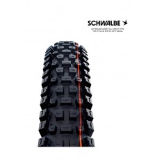 SCHWALBE Tire bicycle ALBERT EVO 27.5 GRAVITY PRO SOFT RADIAL 27.5X2.60 B/B-SK 4026495945264