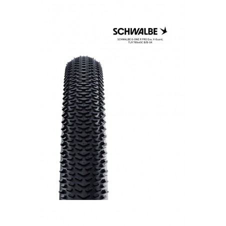 SCHWALBE Tire bicycle G-ONE R PRO EVO V-GUARD TLR 28X1.70 700X45C B/B-SK 4026495946223